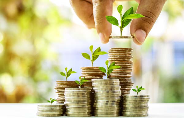 Growing plant on coin money for finance and banking concept, Financial and business concept, business investment. hand putting the coin to coin stack