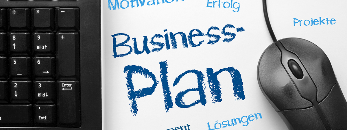 BusinessPlan Business Plan