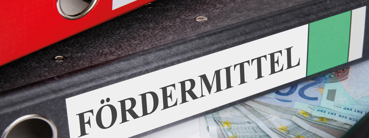 Rückseite eines Ordners mit Schrift 'Fördermittel', unter diesem liegen Euroscheine