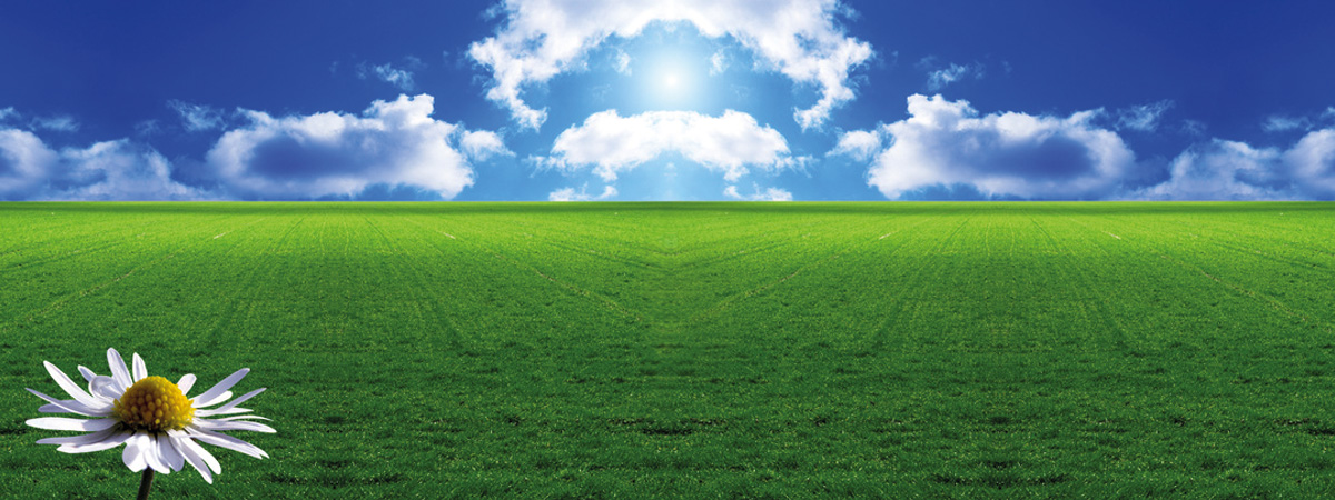 Grüne wiese mit leicht bewölktem Himmel und der Sonne in der Mitte